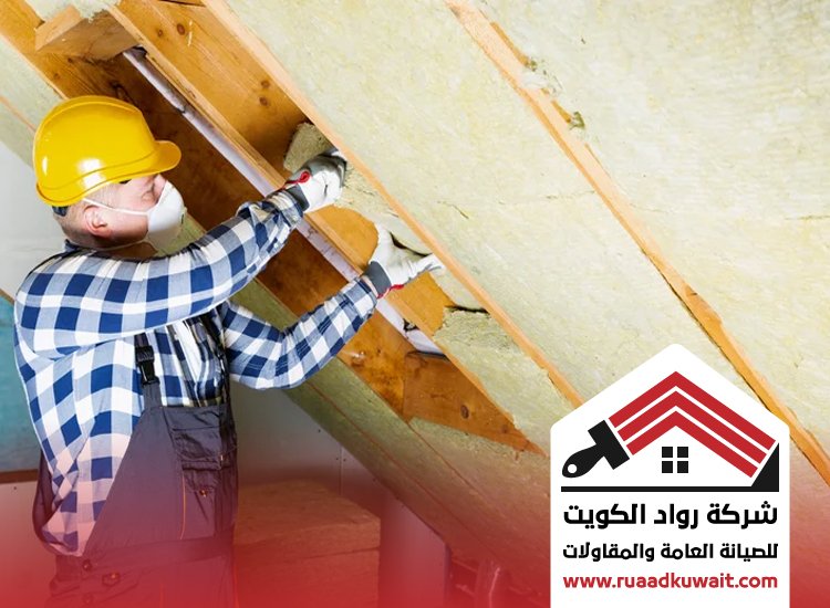 شركة عزل حولي