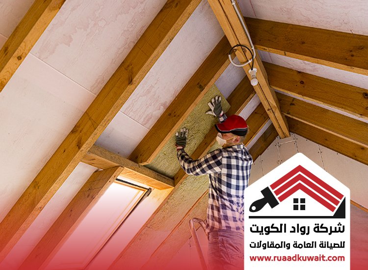 شركة عزل حولي