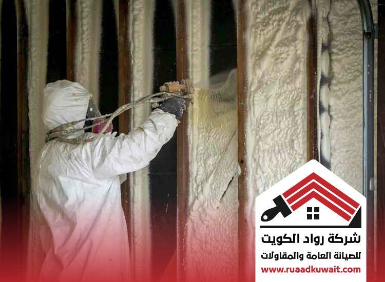 شركة عزل السالمية