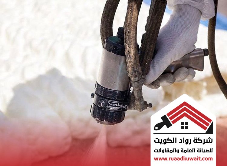 شركة عزل بيان