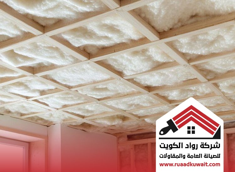 شركة عزل الشعب