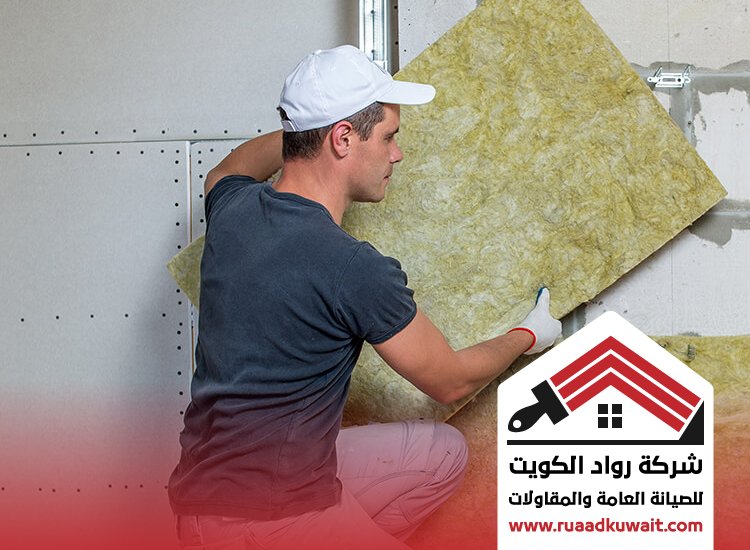 شركة عزل المنطقة العاشرة