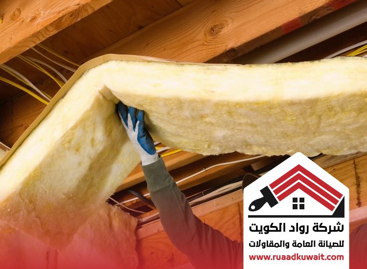 شركة عزل السالمية