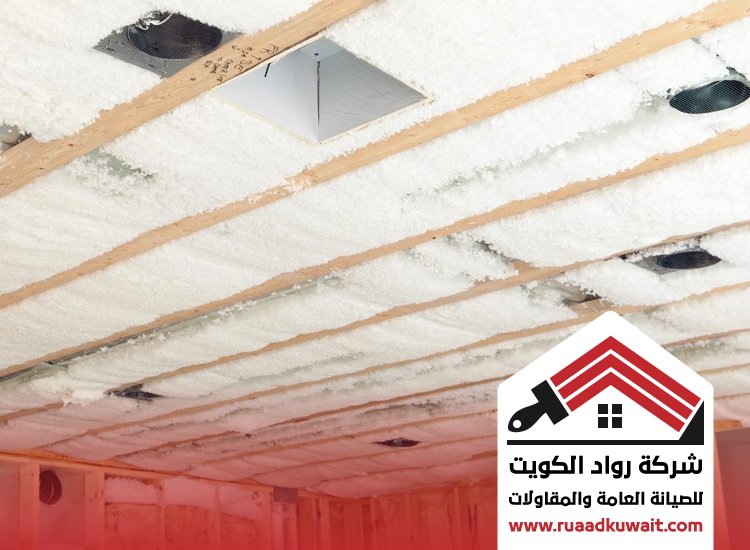 شركة عزل السالمية