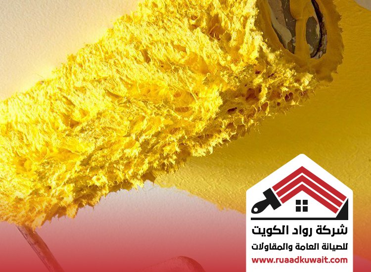 اصباغ المهبولة