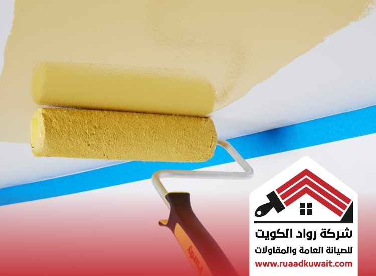 اصباغ المهبولة