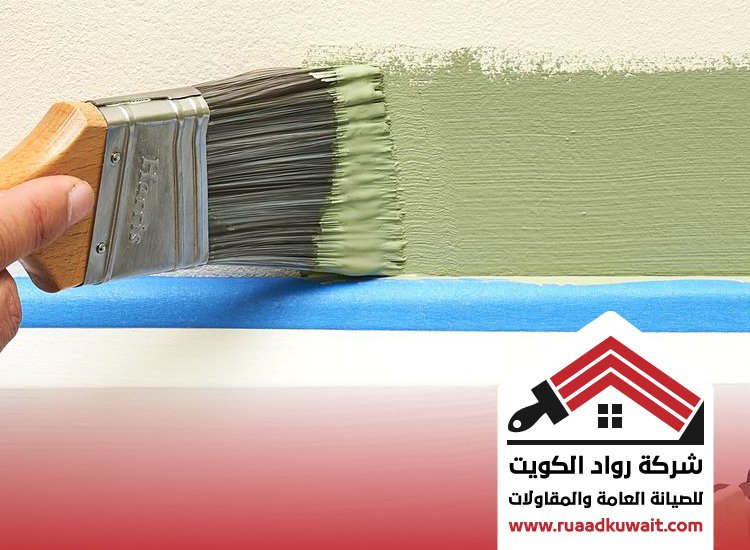 اصباغ المهبولة