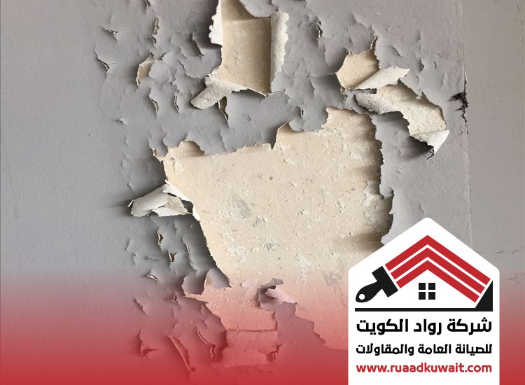 دهانات مقاومة للرطوبة