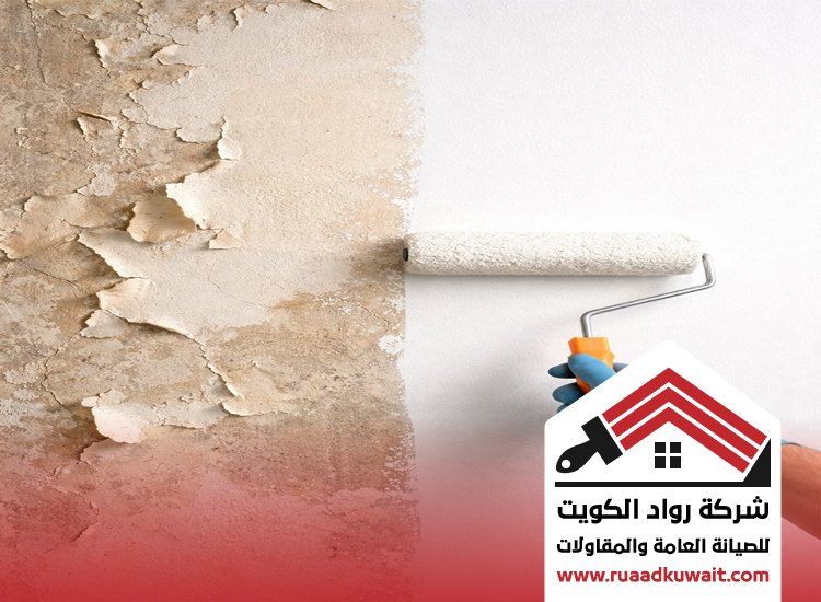 دهانات مقاومة للرطوبة